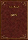 Sztorm - ebook