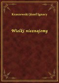 Wielki nieznajomy - ebook