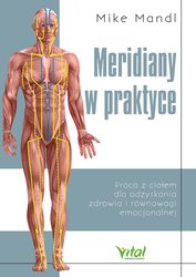 : Meridiany w praktyce - ebook